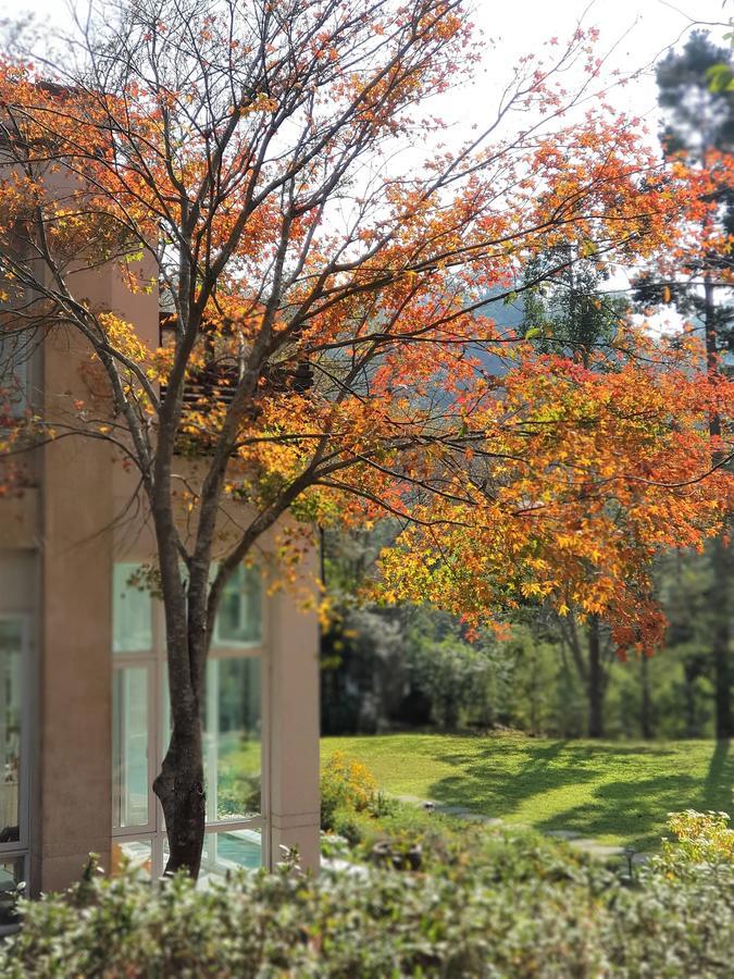 Around The Tree Manor Apartment Shitan Bilik gambar