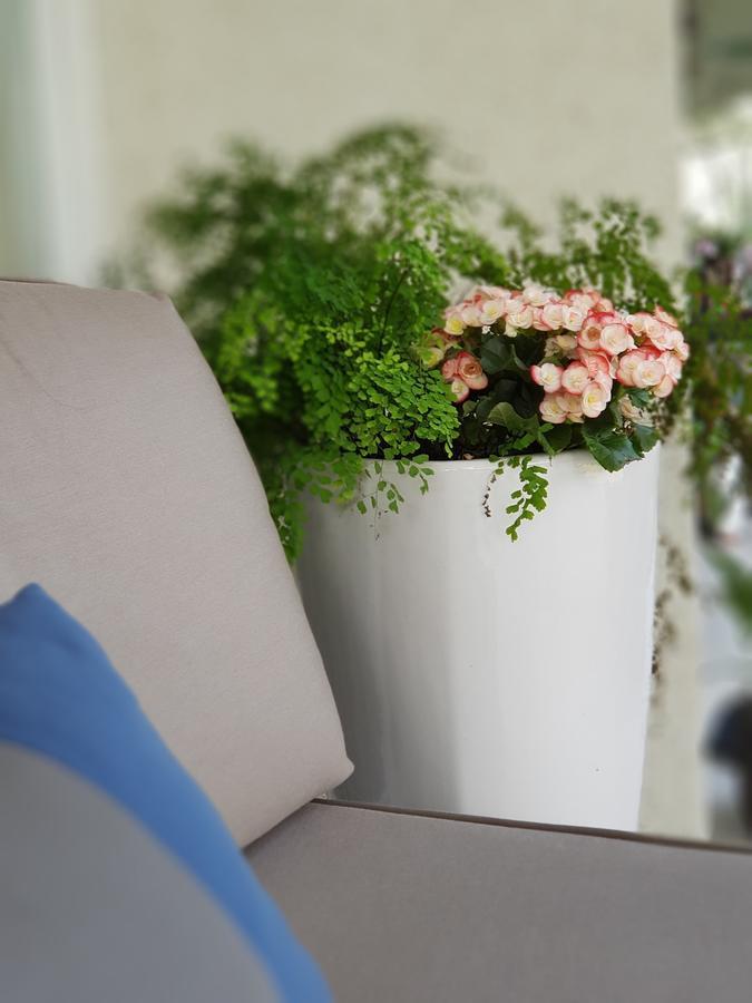 Around The Tree Manor Apartment Shitan Bilik gambar